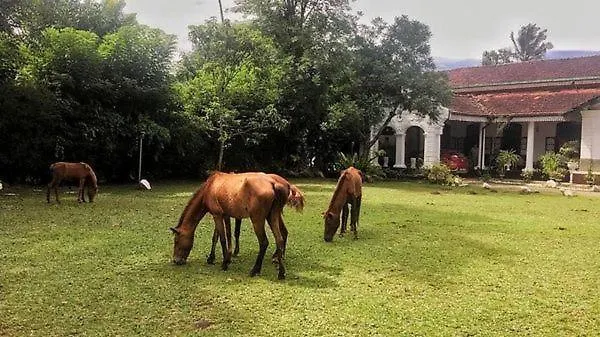 Galkanda Walawwa Kandy Villa