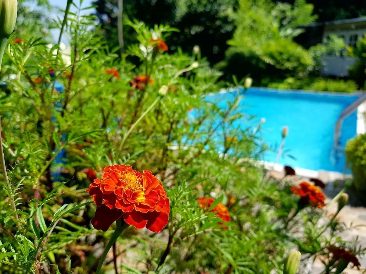 Villa Galkanda Walawwa Kandy